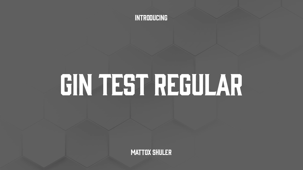 Gin Test Regular Font Sample Images  1