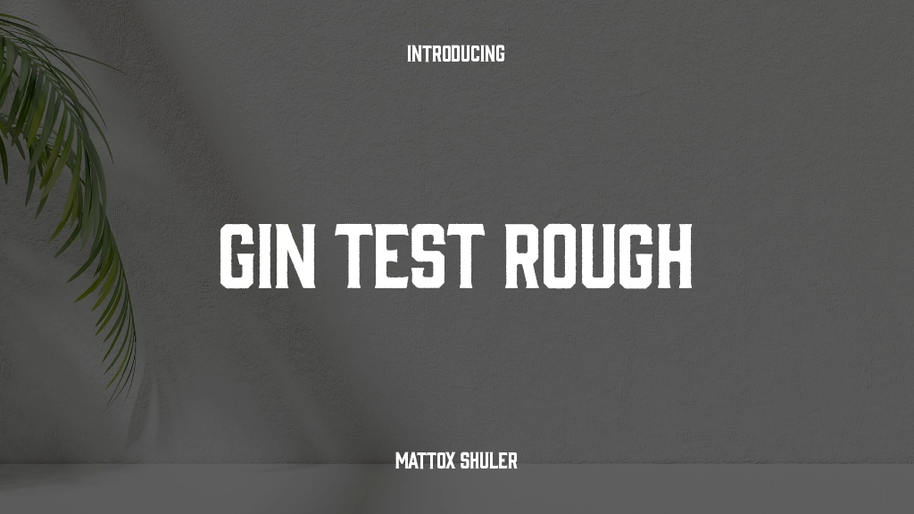 Gin Test Rough Font Sample Images  1