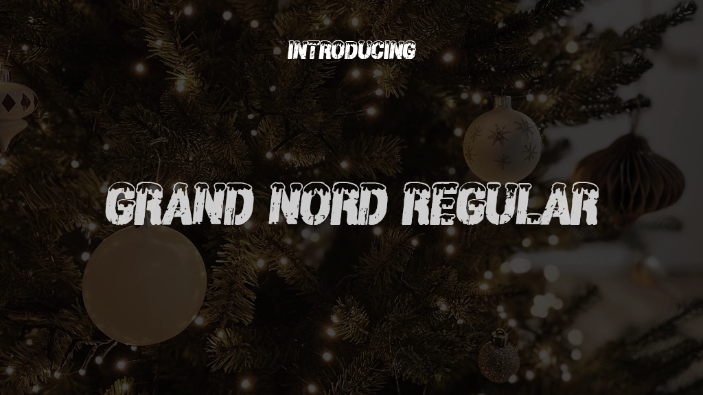 Grand Nord Regular Font Sample Images  1