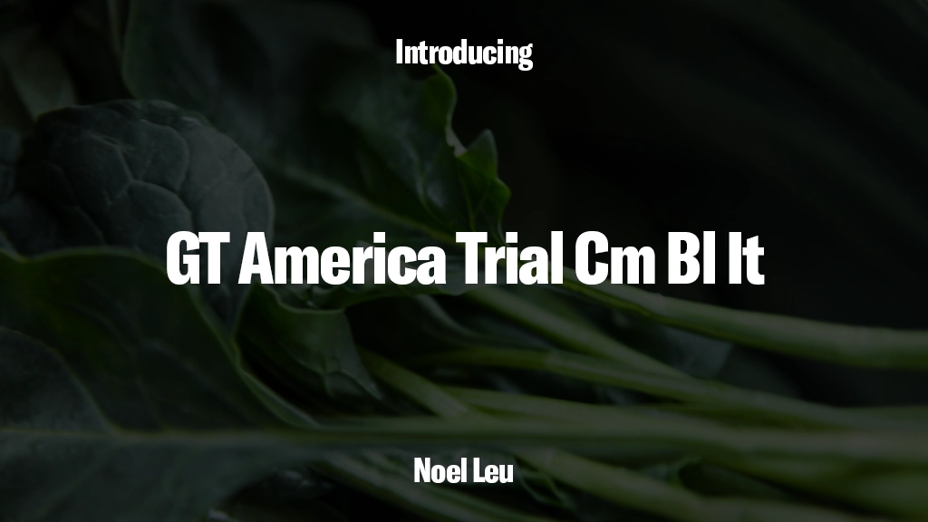 GT America Trial Cm Bl It 字体样本图像  1