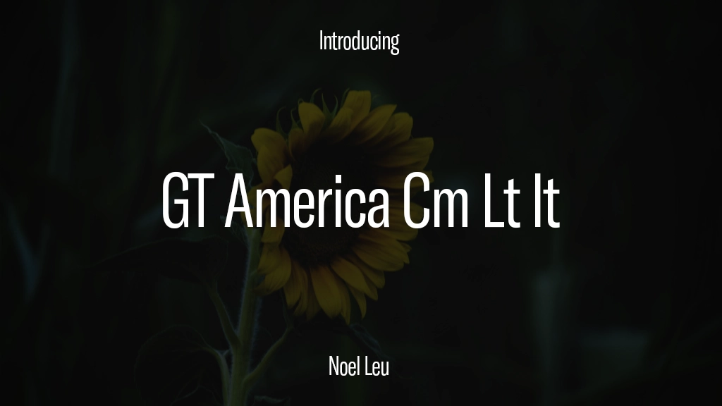 GT America Trial Cm Lt It Immagini di esempio dei caratteri  1