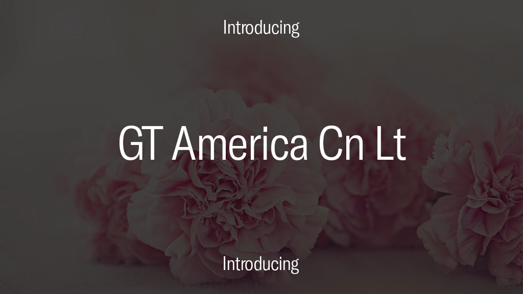 GT America Trial Cm Lt フォントサンプル画像  2