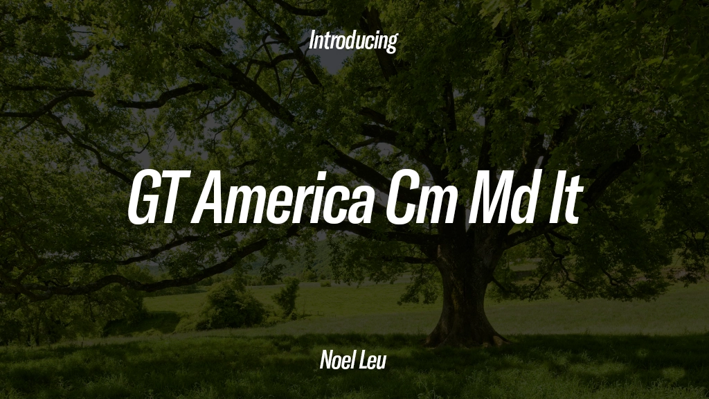 GT America Trial Cm Md It 字体样本图像  1