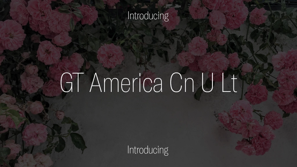 GT America Trial Cn U Lt 字体样本图像  1