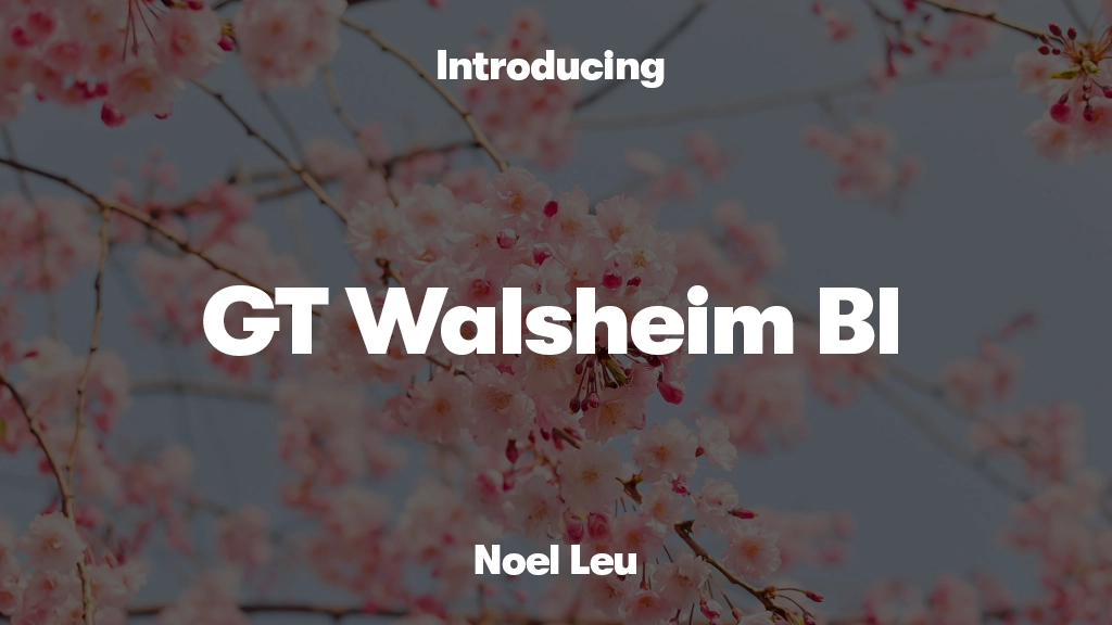 GT Walsheim Trial Bl 글꼴 샘플 이미지  1