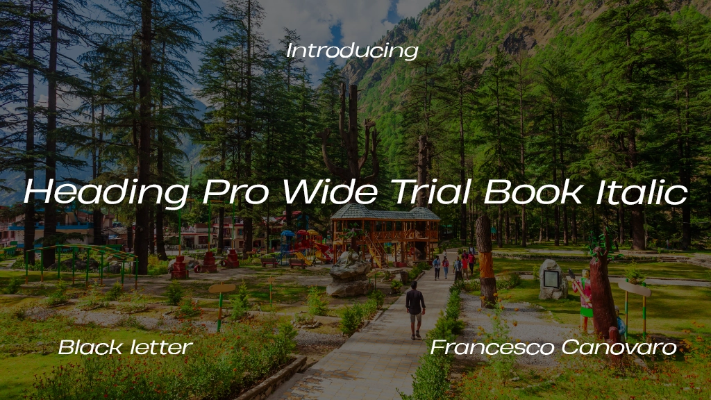 Heading Pro Wide Trial Book Italic Font Sample Image 1