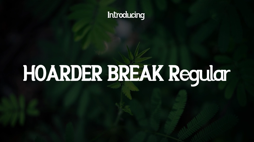 HOARDER BREAK Regular Beispielbilder für Schriftarten  1