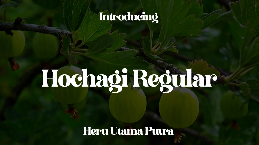 Hochagi Regular Font Sample Images  1