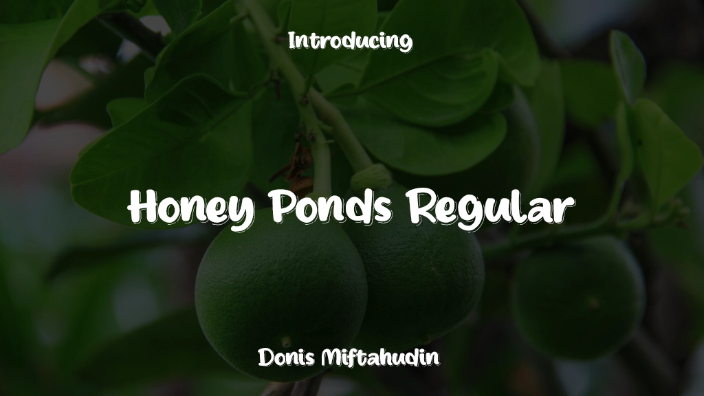 Honey Ponds Personal Use Regular Font Sample Images  1