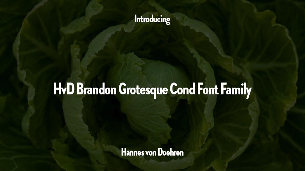 HvDTrial Brandon Grotesque Cond Font Family Immagini di esempio dei caratteri  1