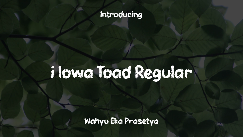 i Iowa Toad Regular Font Sample Images  1