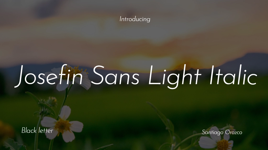 Josefin Sans Light Italic Font Sample Image 1