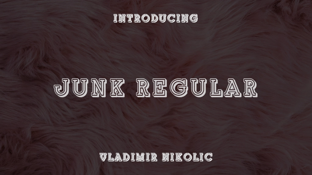 Junk Regular Font Sample Images  1