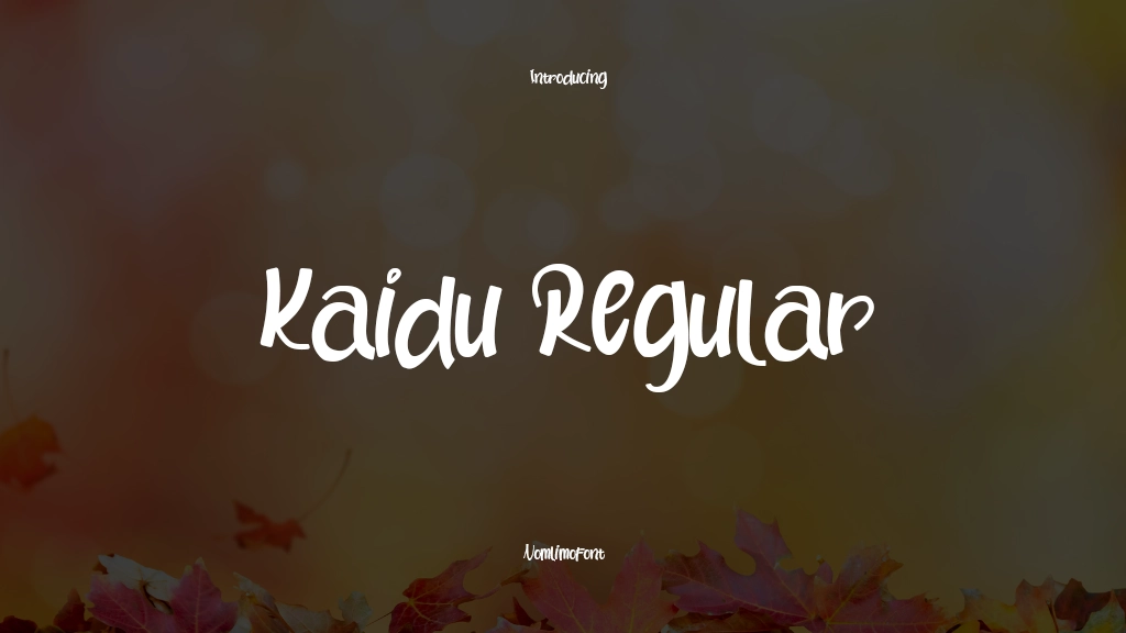 Kaidu Regular Font Sample Images  1