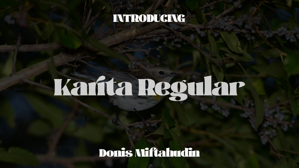 Karita Personal Use Regular Font Sample Images  1