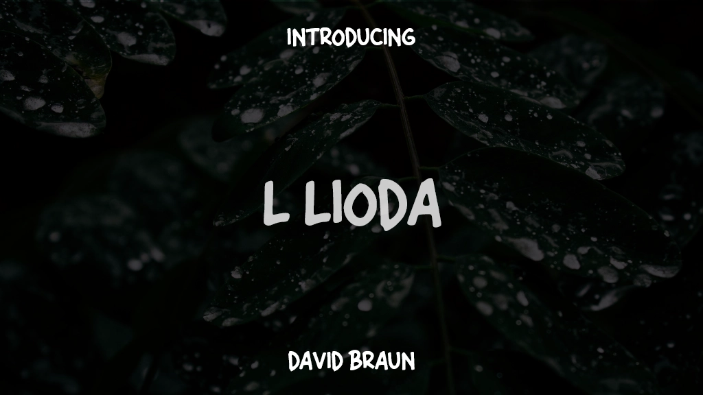 L Lioda Font Sample Images  1