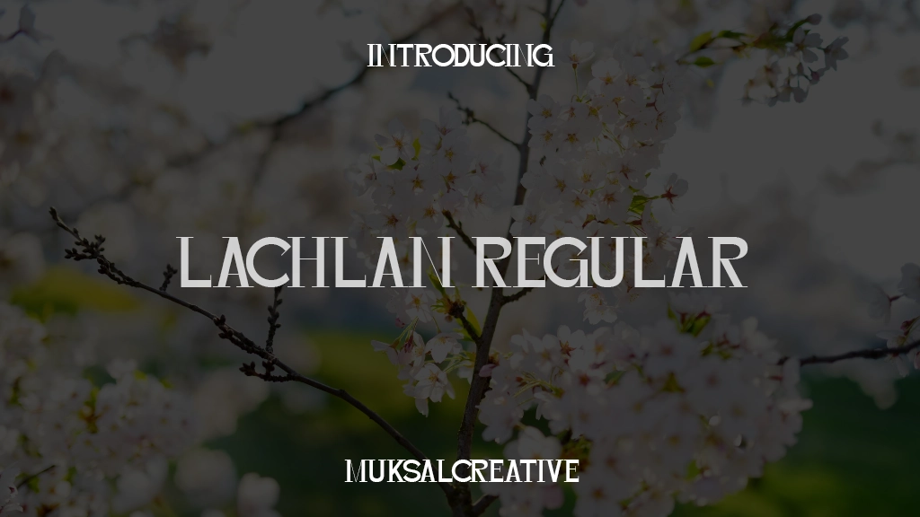 Lachlan Regular Font Sample Images  1