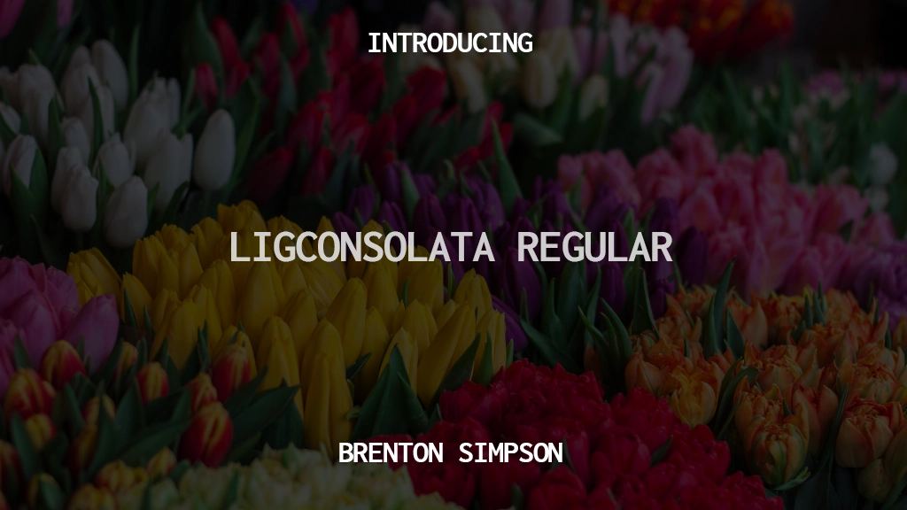 Ligconsolata Regular Font Sample Images  1