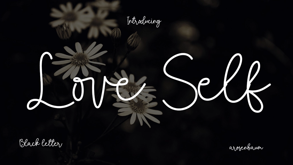 Love Self Font Sample Image 1