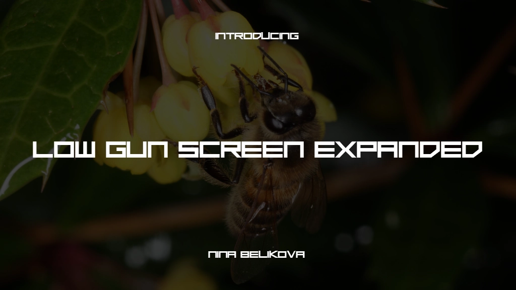 Low Gun Screen Expanded Expanded Font Sample Images  1