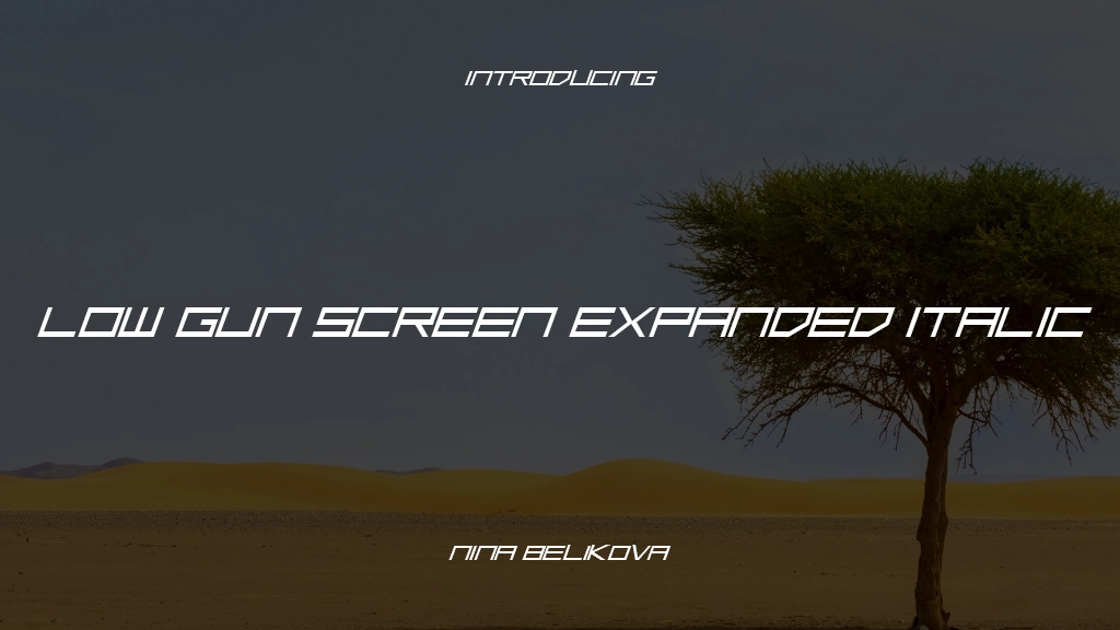 Low Gun Screen Expanded Italic Expanded Italic Font Sample Images  1