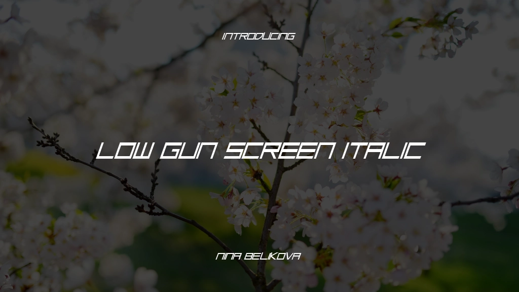 Low Gun Screen Italic Font Sample Images  1