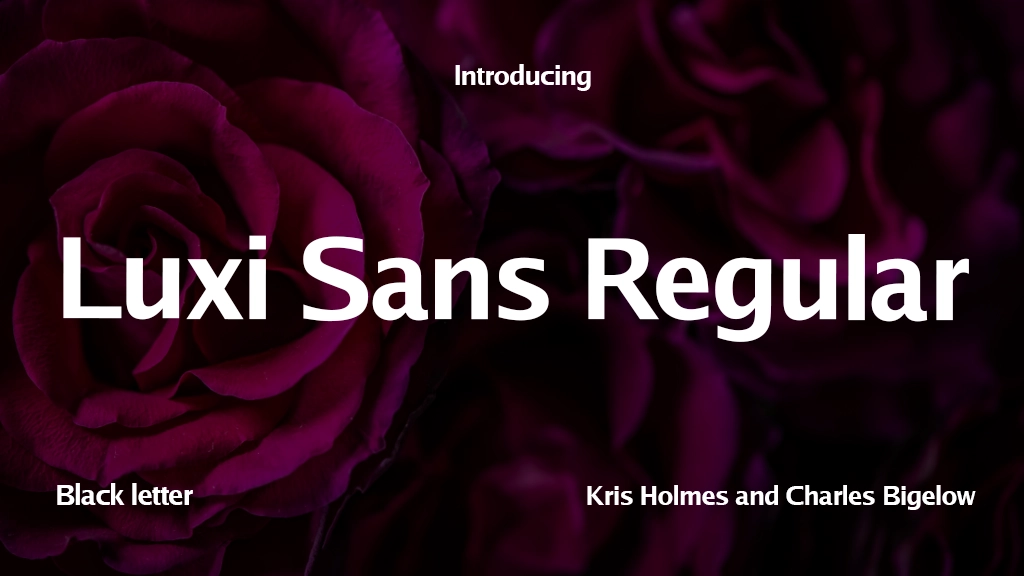 Luxi Sans Regular Font Sample Image 1