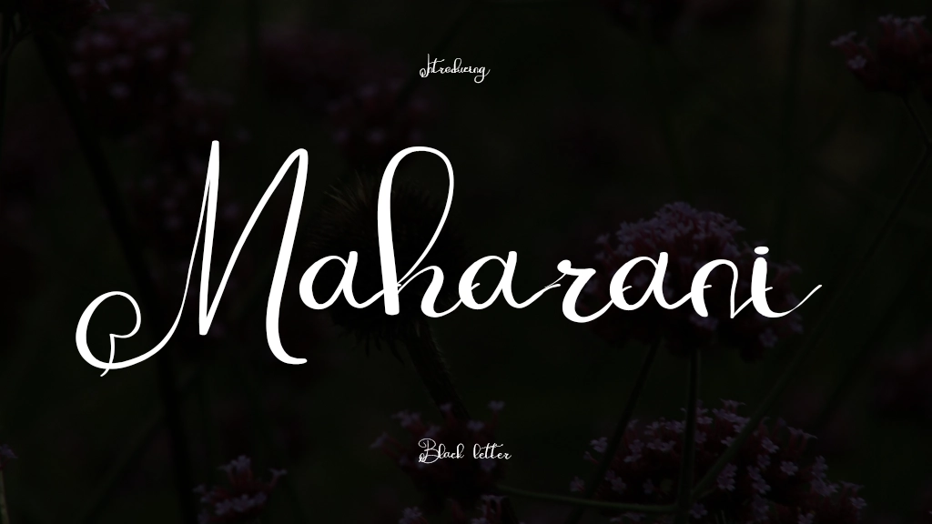 Maharani Font Sample Image 1