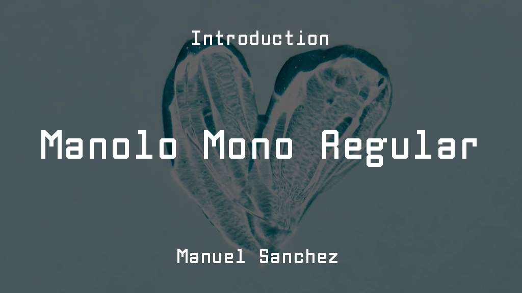 Manolo Mono Regular Font Sample Images  1