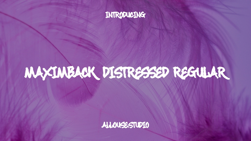 Maximback Distressed Regular Font Sample Images  1