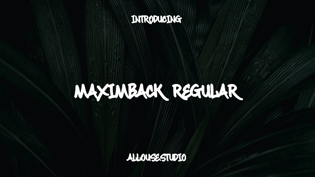 Maximback Regular Font Sample Images  1