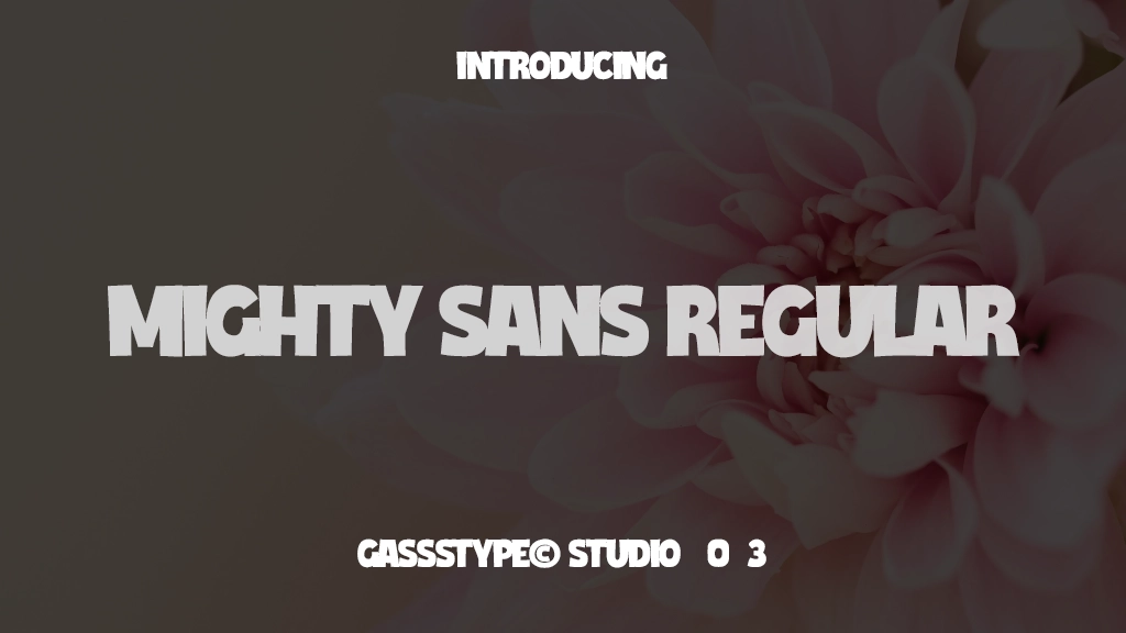 Mighty Sans Regular Beispielbilder für Schriftarten  1