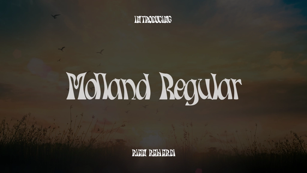 Molland Regular Font Sample Images  1