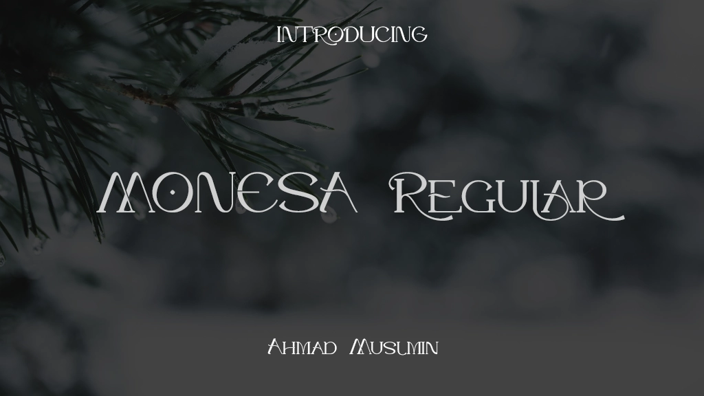 MONESA Regular Font Sample Images  1