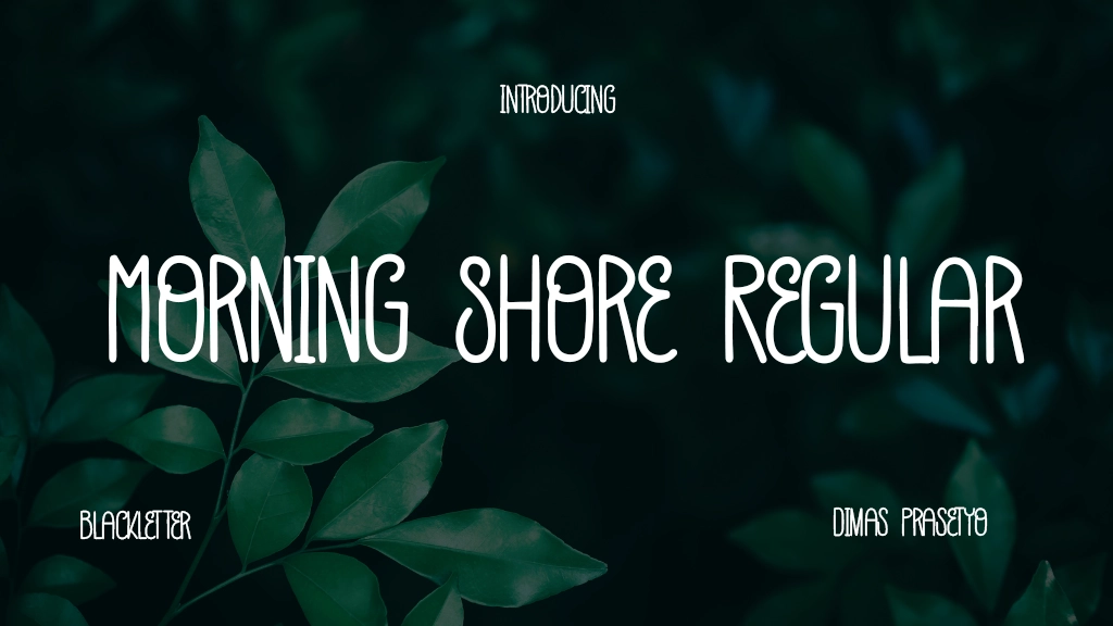 Morning Shore Regular Font Sample Image 1