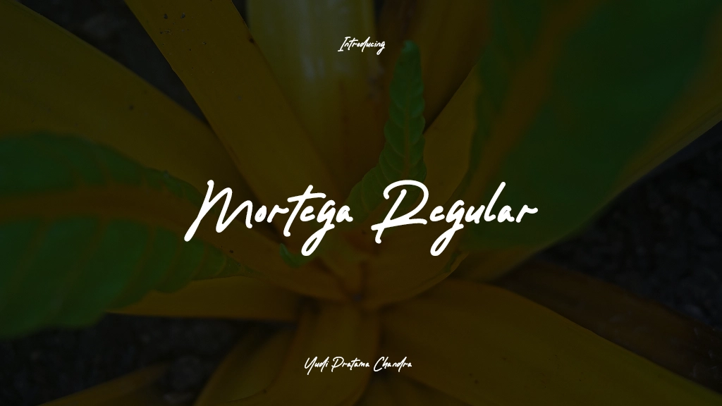 Mortega Regular Font Sample Images  1