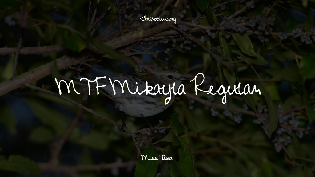 MTF Mikayla Regular 字体样本图像  1