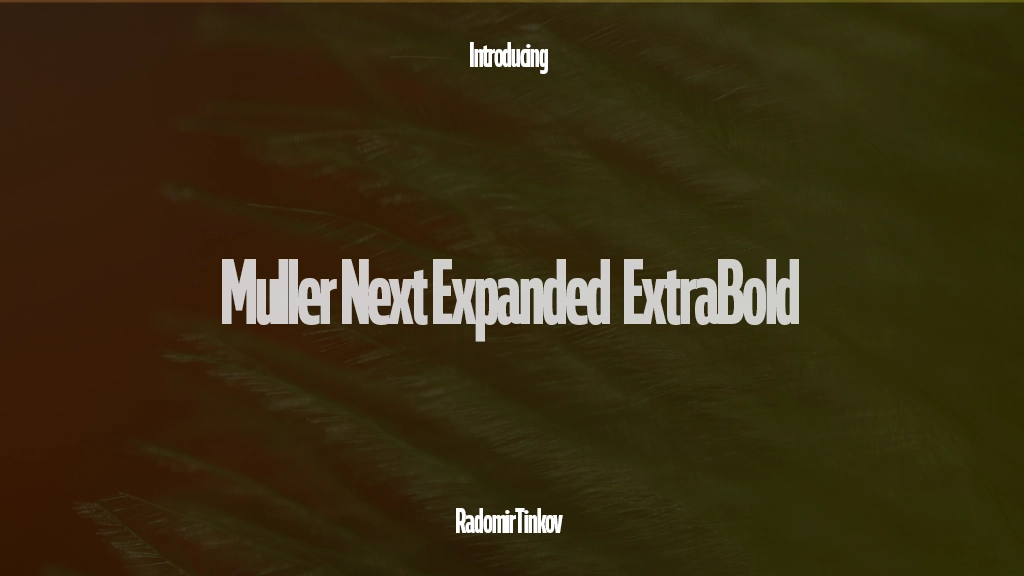 Muller Next Expanded Trial ExtraBold Imágenes de muestra de fuentes  1