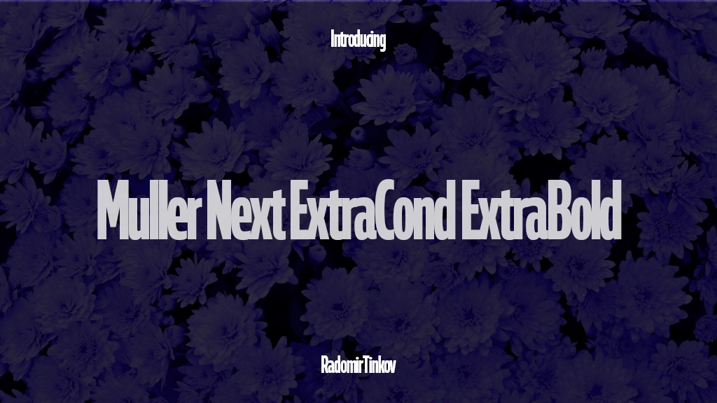 Muller Next ExtraCond Trial ExtraBold 字体样本图像  1