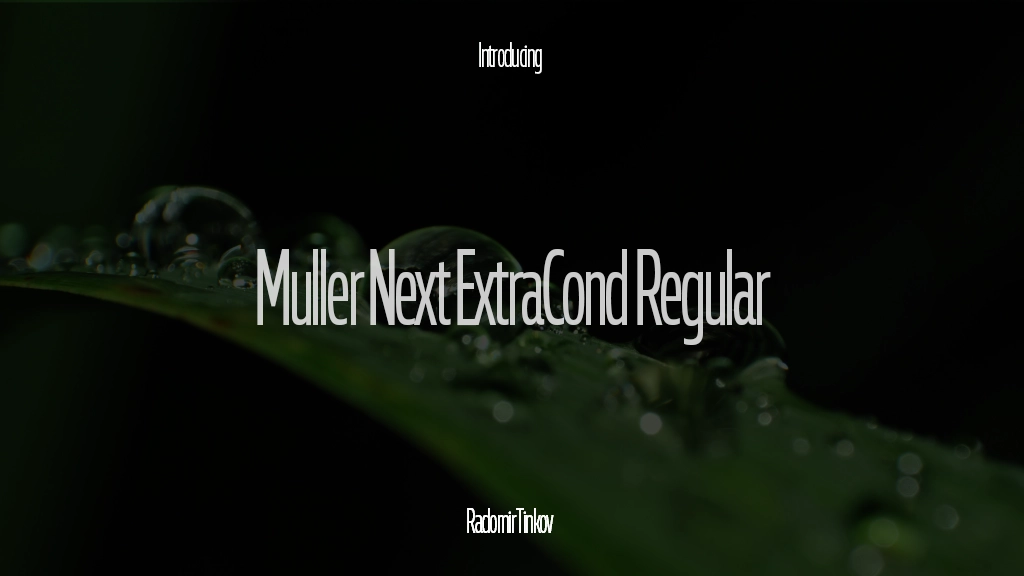 Muller Next ExtraCond Trial Regular 字体样本图像  1