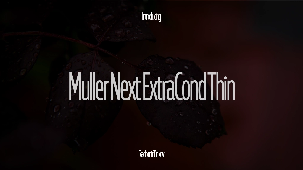 Muller Next ExtraCond Trial Thin 字体样本图像  1