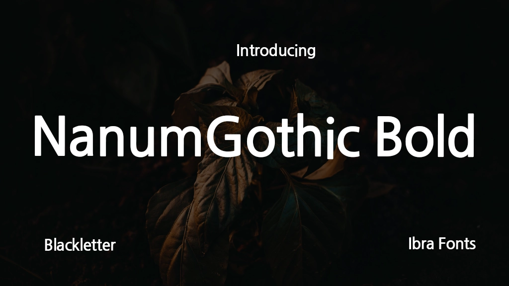 NanumGothic Bold Font Sample Image 1