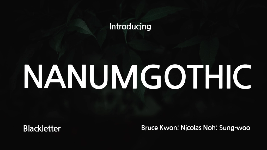 NANUMGOTHIC Font Sample Image 1