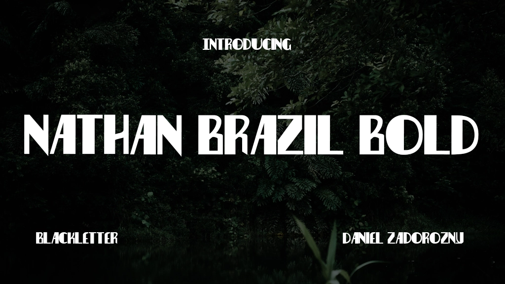 Nathan Brazil Bold Bold Font Sample Image 1