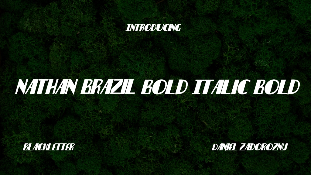 Nathan Brazil Bold Italic Bold Italic Font Sample Image 1