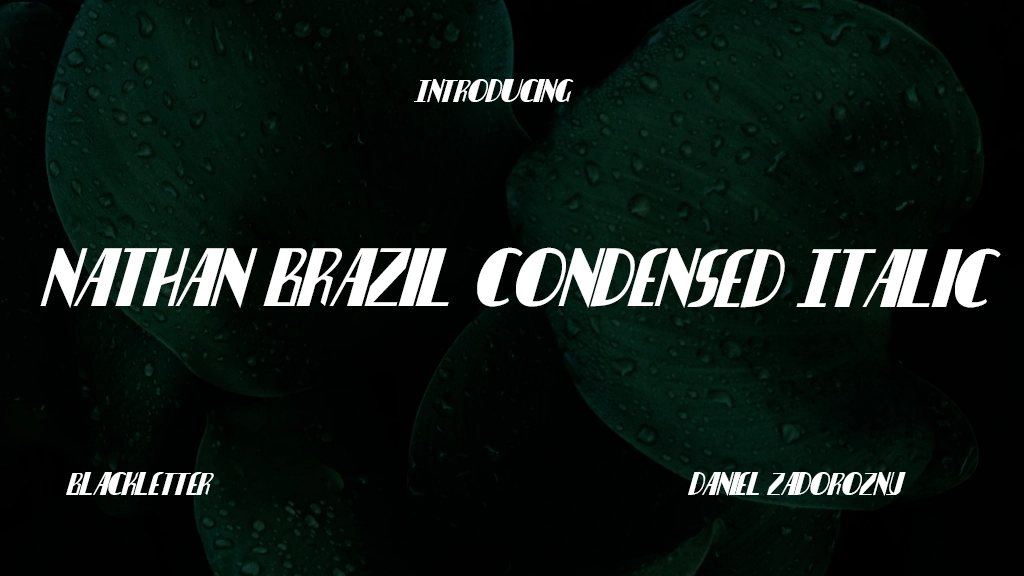 Nathan Brazil Condensed Italic Condensed Italic Font Sample Image 1