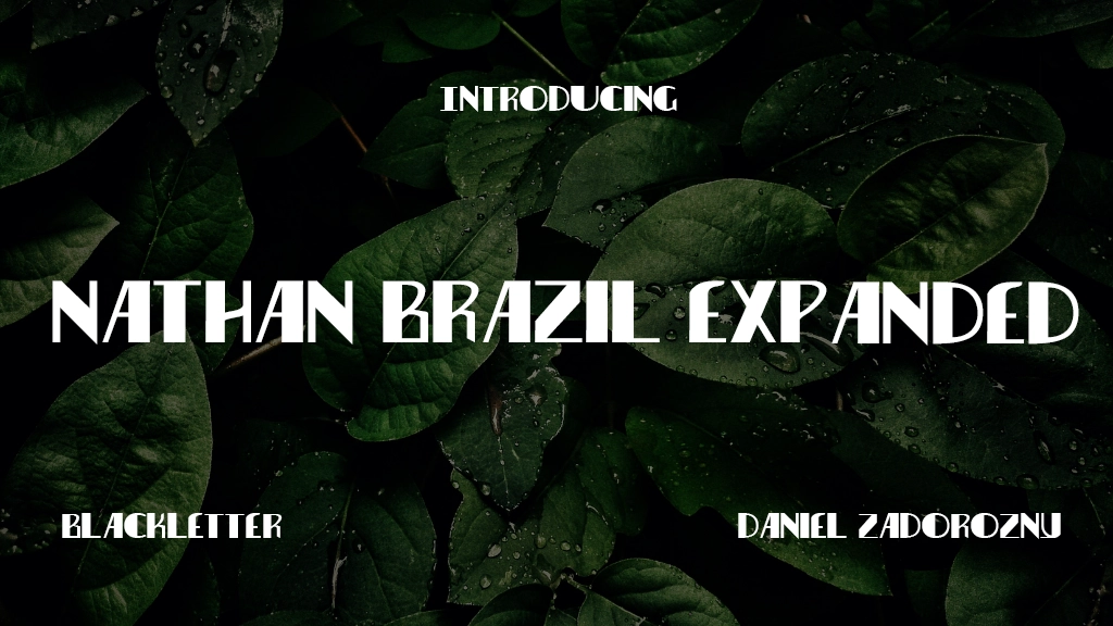 Nathan Brazil Expanded Expanded Font Sample Image 1