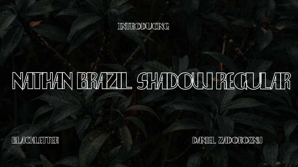 Nathan Brazil Shadow Regular Font Sample Image 1