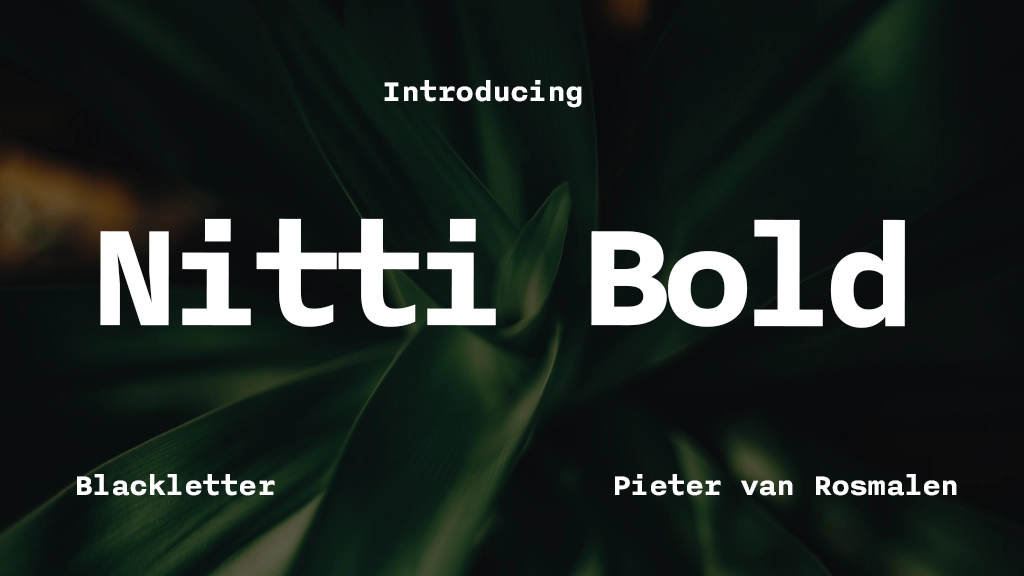 Nitti Bold Font Sample Image 1