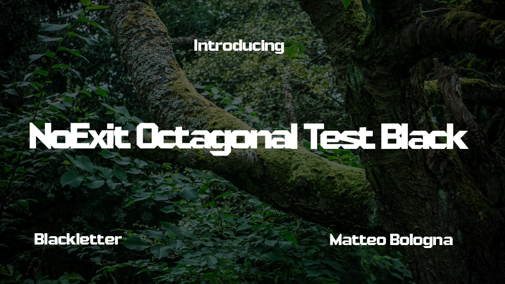 NoExit Octagonal Test Black Font Sample Image 1